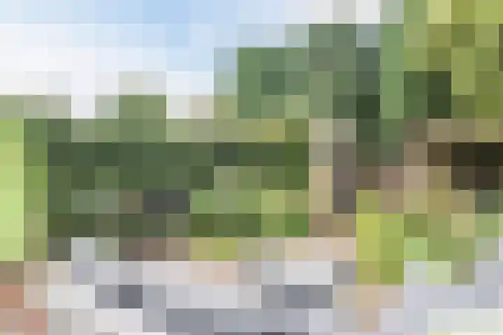 Troosterlaan 58 Utrecht thumbnail 11