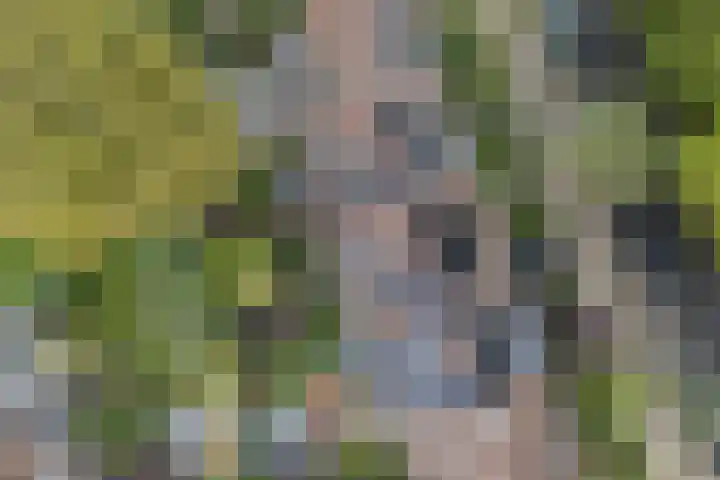 Troosterlaan 58 Utrecht thumbnail 13