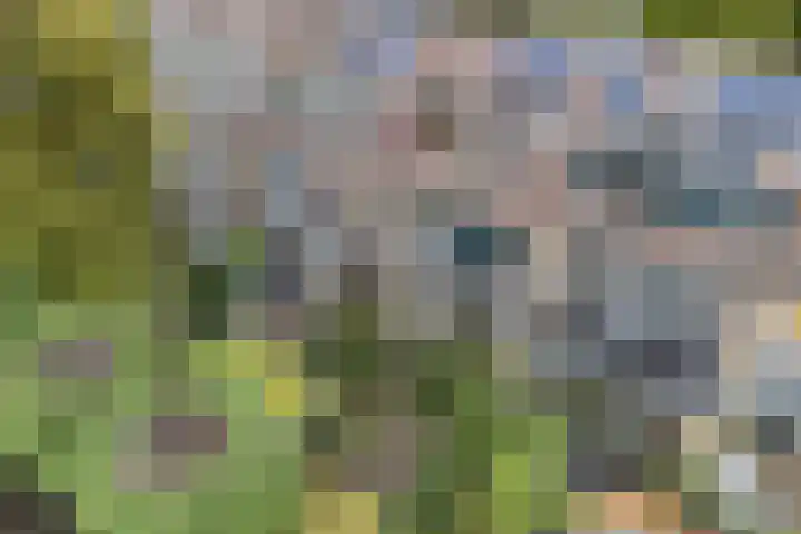 Troosterlaan 58 Utrecht thumbnail 14