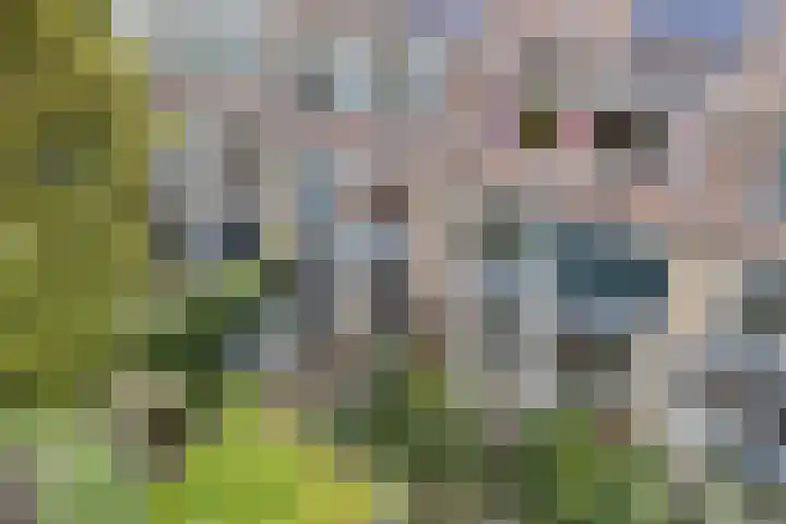 Troosterlaan 58 Utrecht thumbnail 15