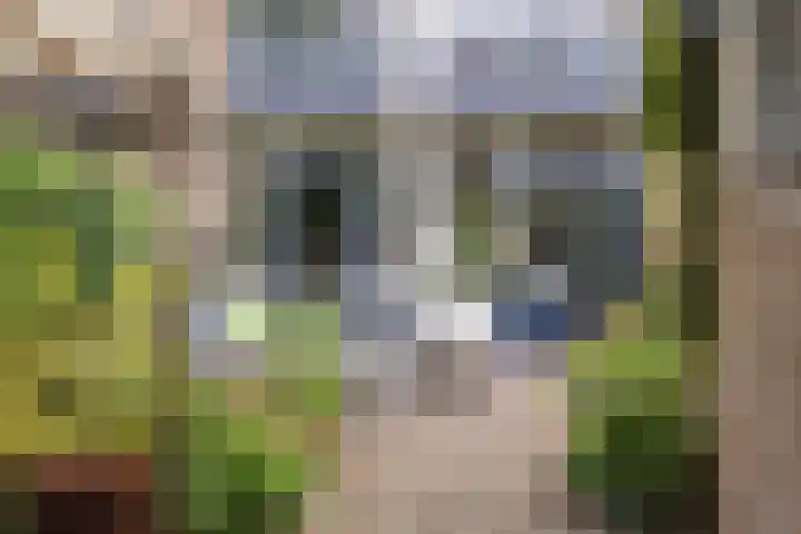 Troosterlaan 58 Utrecht thumbnail 17