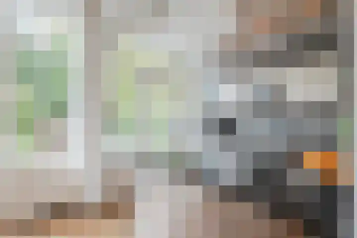 Troosterlaan 58 Utrecht thumbnail 19