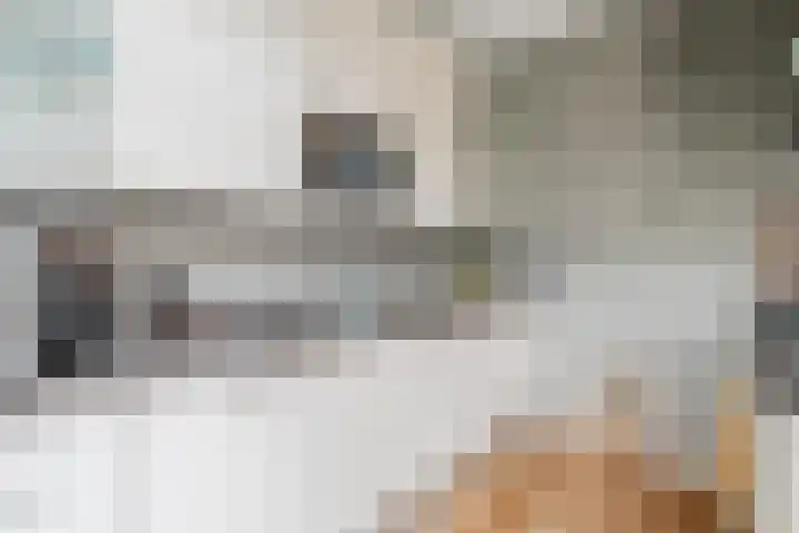 Troosterlaan 58 Utrecht thumbnail 21