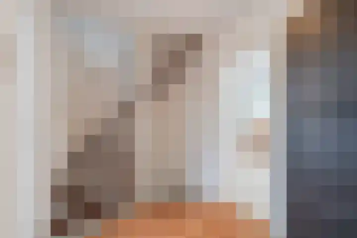 Troosterlaan 58 Utrecht thumbnail 39