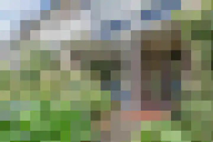 Troosterlaan 58 Utrecht thumbnail 4