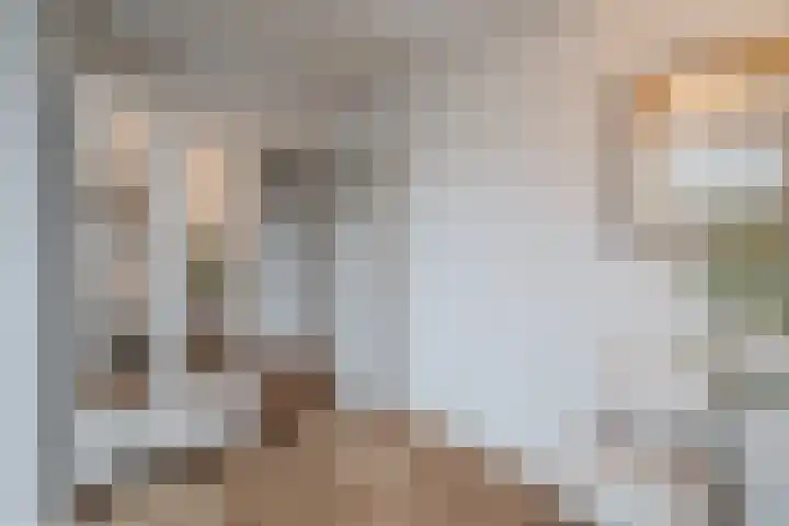 Troosterlaan 58 Utrecht thumbnail 42
