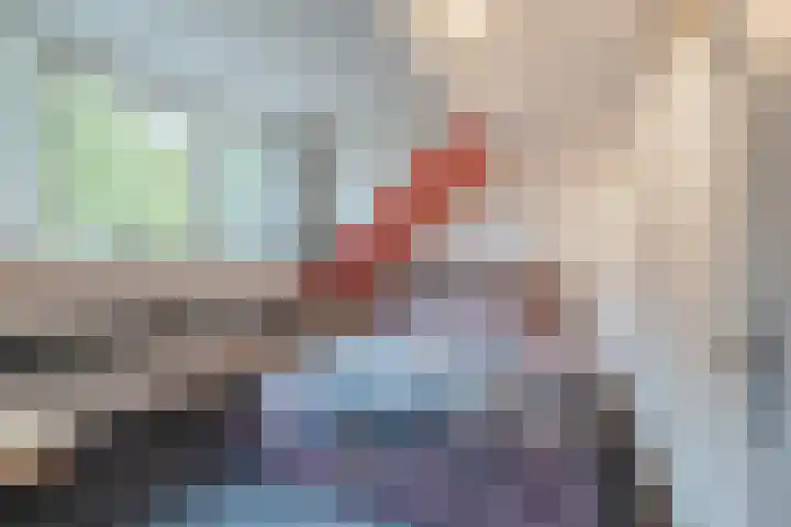 Troosterlaan 58 Utrecht thumbnail 43
