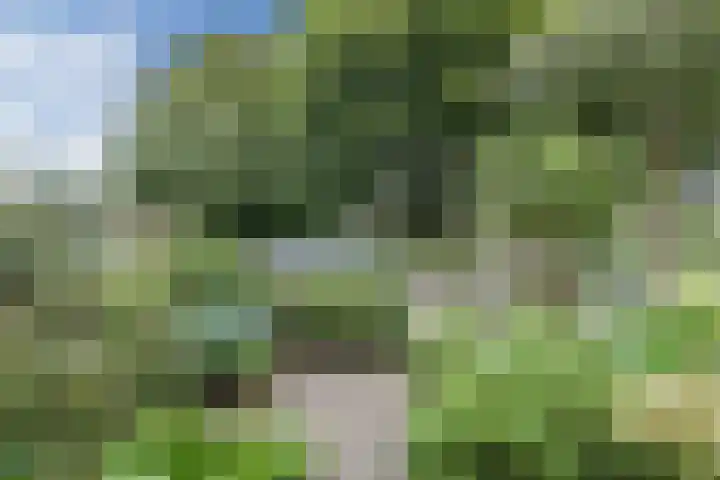 Troosterlaan 58 Utrecht thumbnail 53