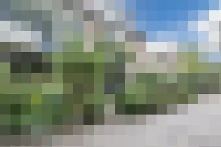 Troosterlaan 58 Utrecht thumbnail 54