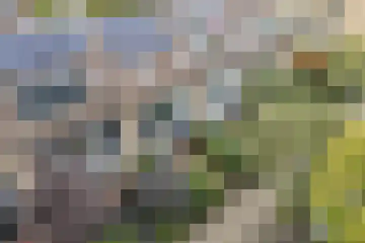Troosterlaan 58 Utrecht thumbnail 56