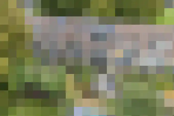 Troosterlaan 58 Utrecht thumbnail 57