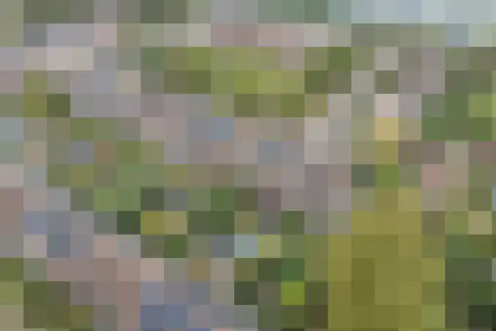 Troosterlaan 58 Utrecht thumbnail 58