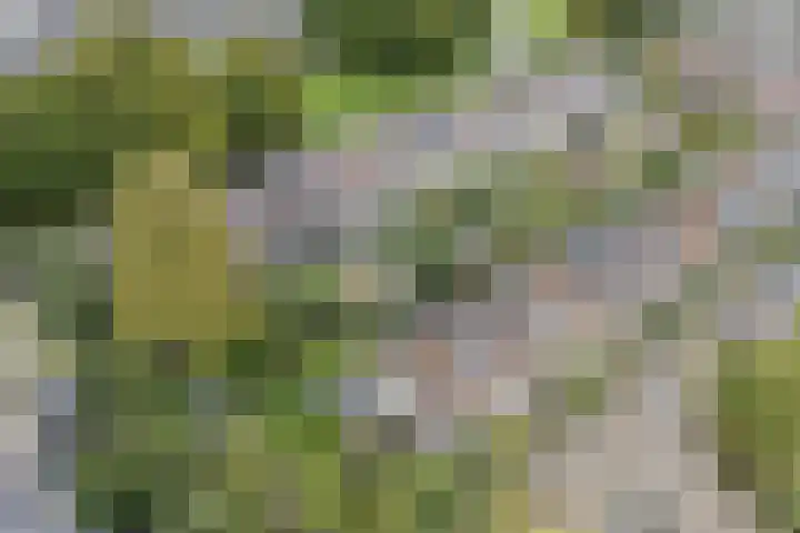 Troosterlaan 58 Utrecht thumbnail 59