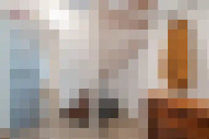 Troosterlaan 58 Utrecht thumbnail 6