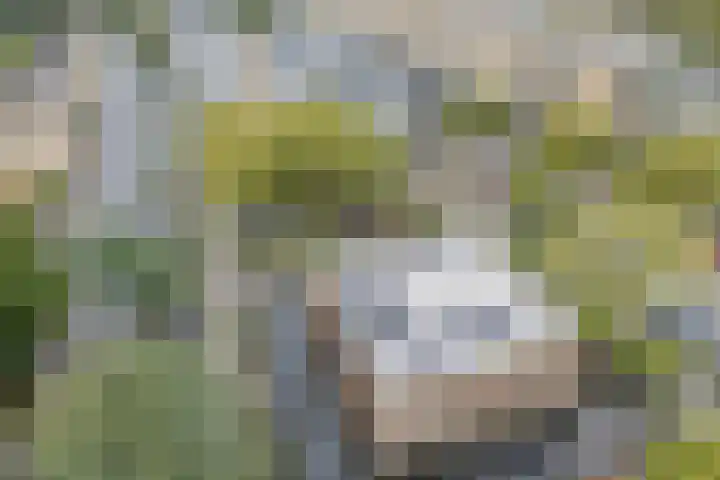 Troosterlaan 58 Utrecht thumbnail 61