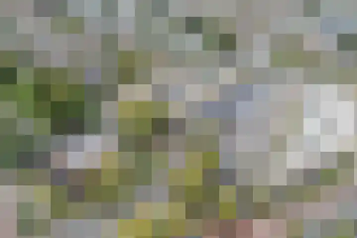 Troosterlaan 58 Utrecht thumbnail 63