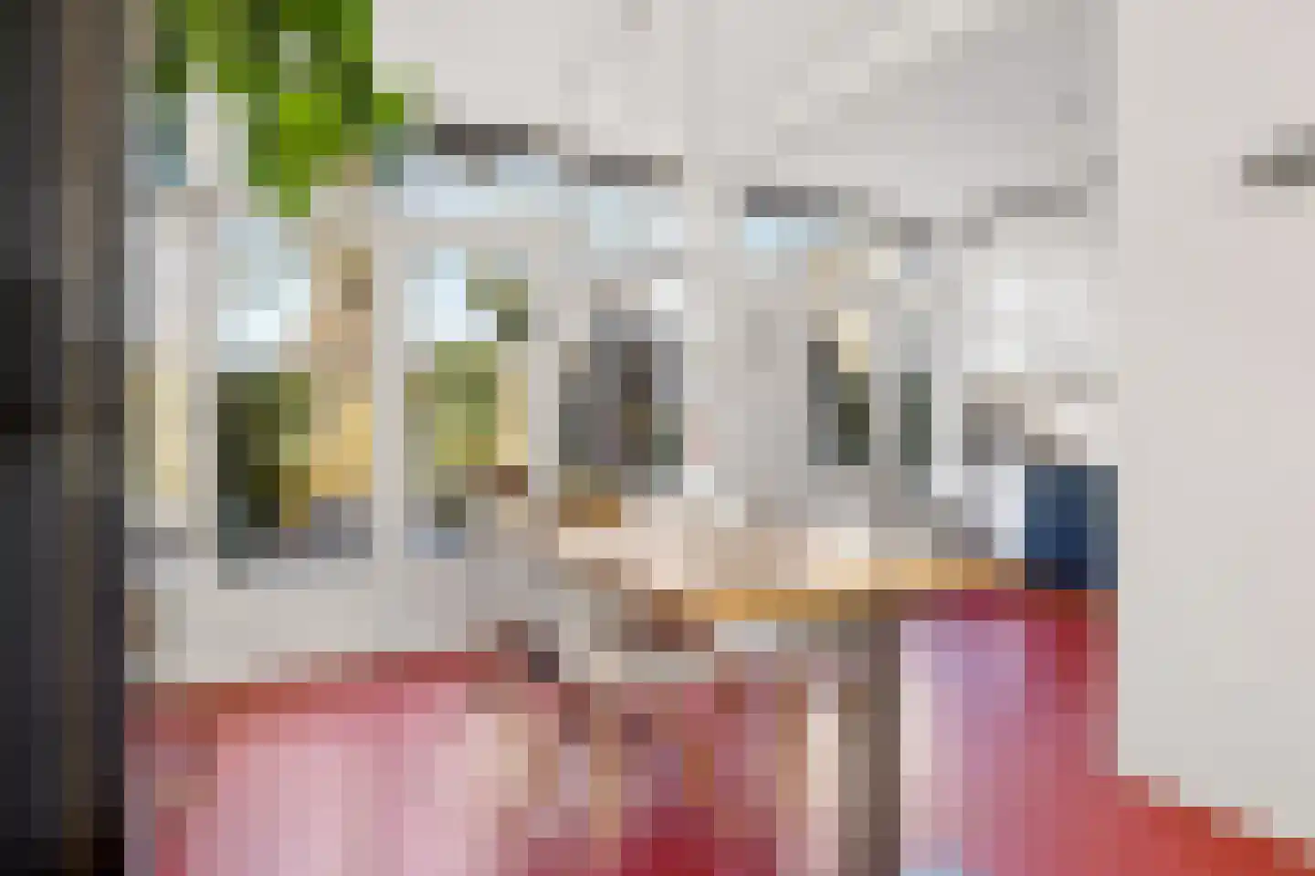 Troosterlaan 60 Utrecht thumbnail 11