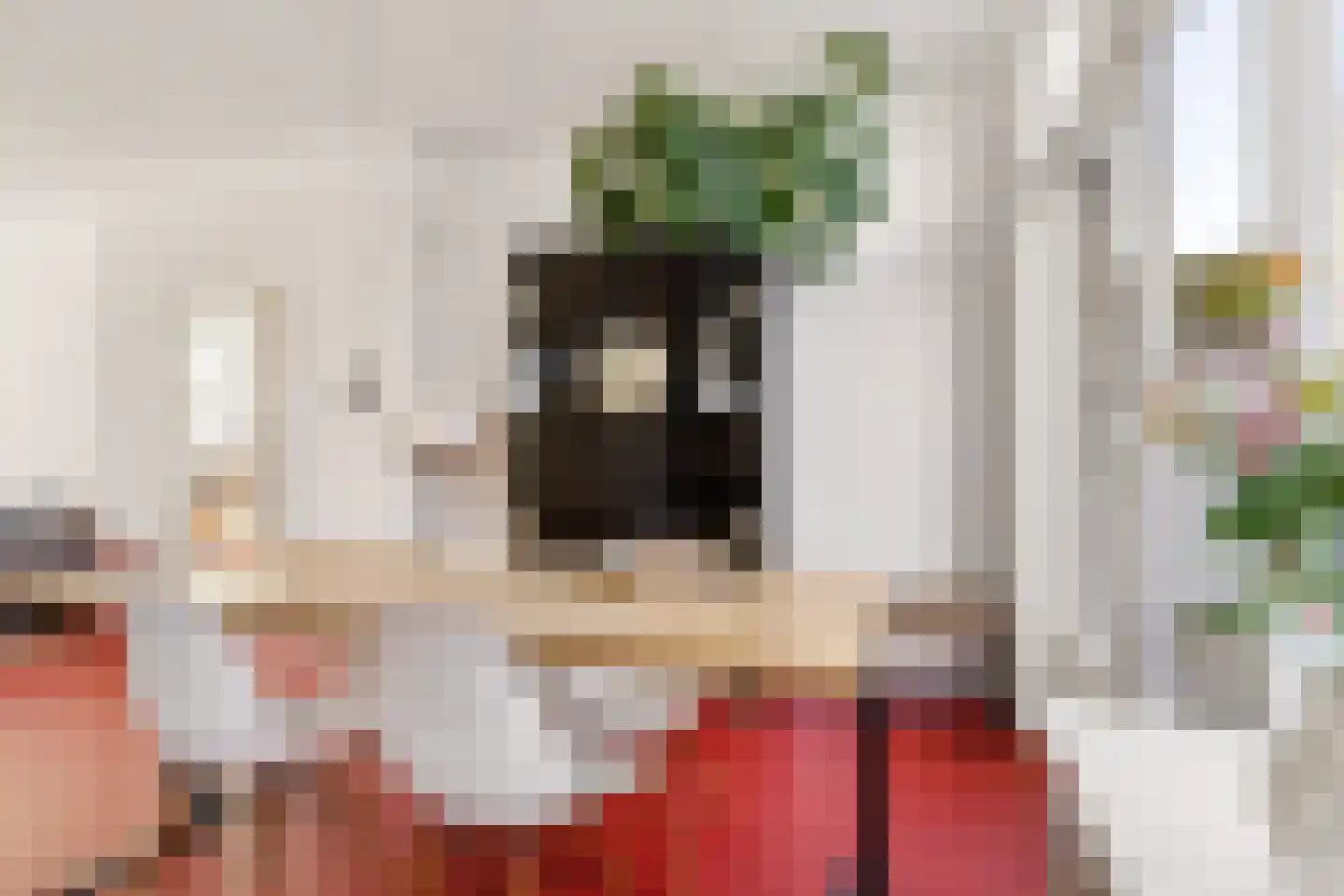 Troosterlaan 60 Utrecht thumbnail 13