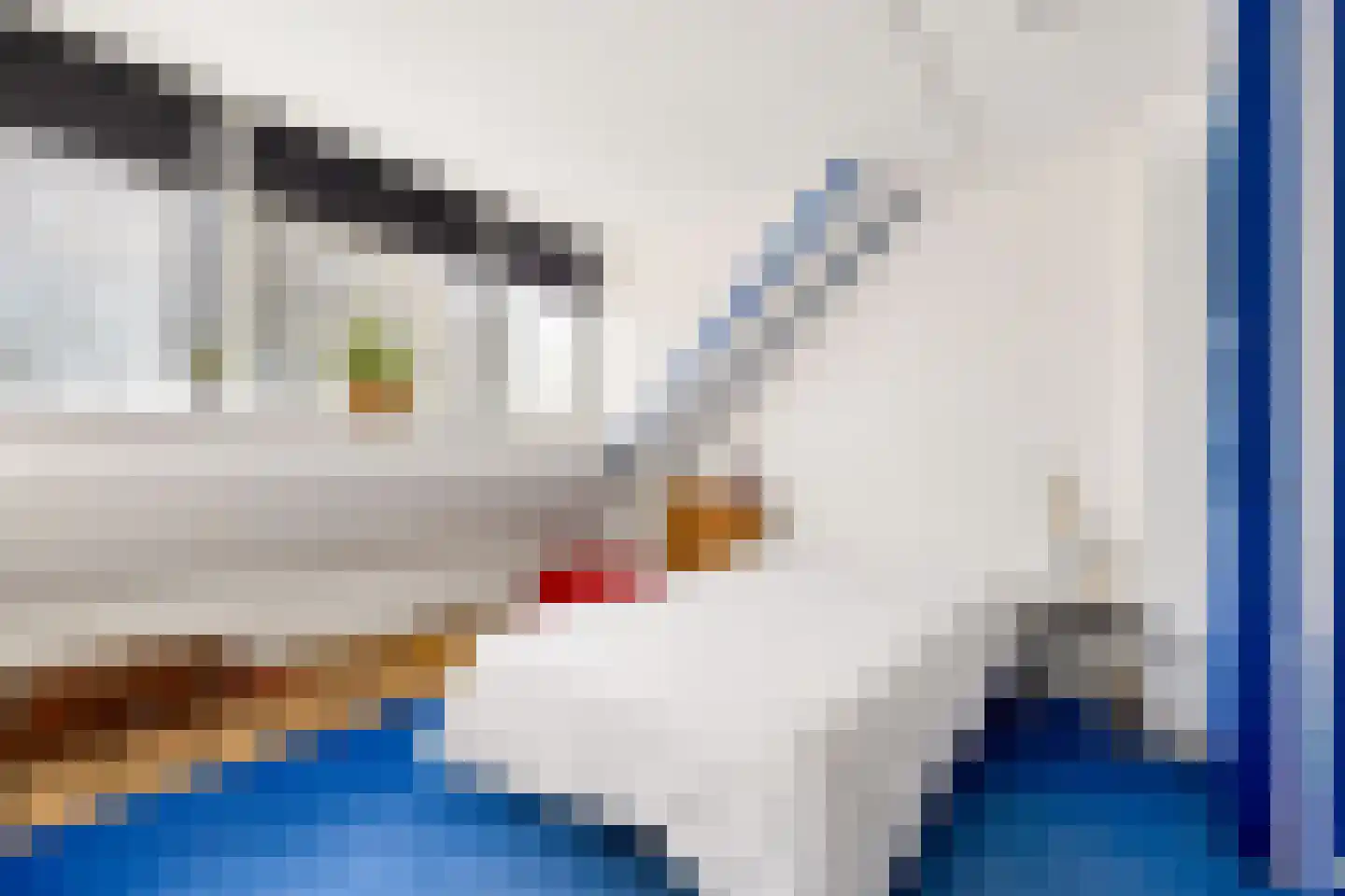 Troosterlaan 60 Utrecht thumbnail 28