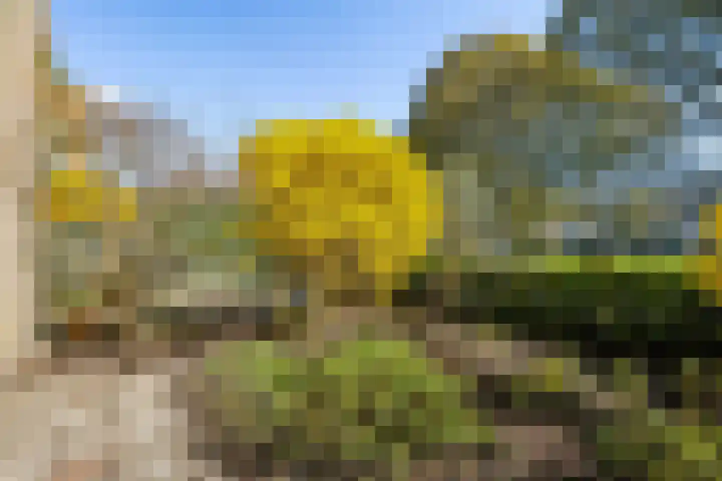 Troosterlaan 60 Utrecht thumbnail 38