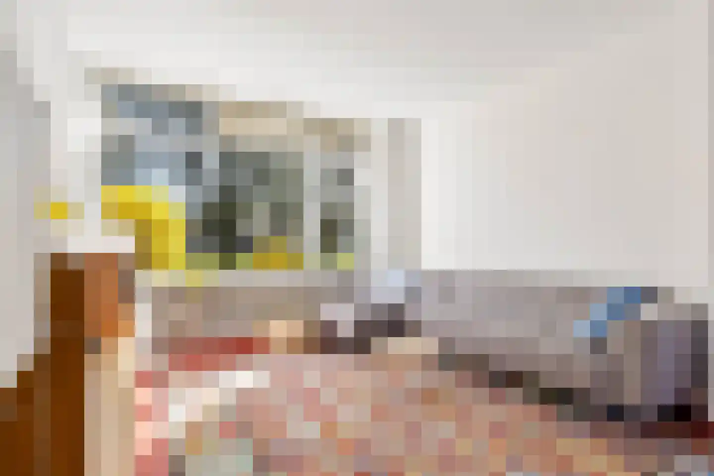 Troosterlaan 60 Utrecht thumbnail 7