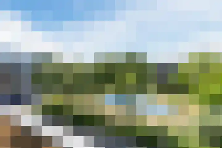Troostlaan 21 Alkmaar thumbnail 20
