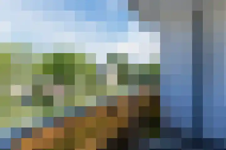 Troostlaan 21 Alkmaar thumbnail 22