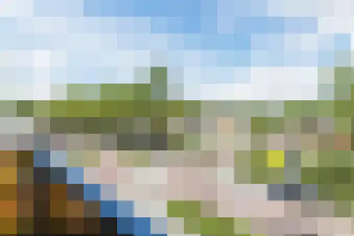 Troostlaan 21 Alkmaar thumbnail 23