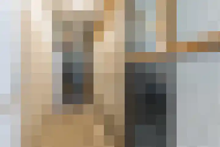 Troostlaan 21 Alkmaar thumbnail 28