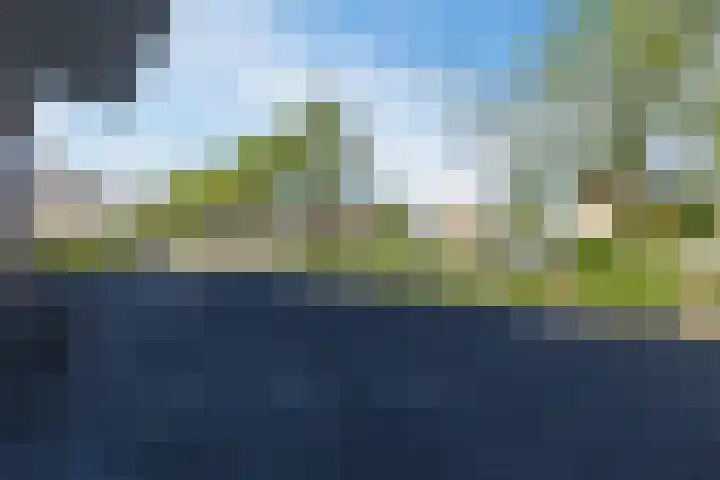 Troostlaan 21 Alkmaar thumbnail 32