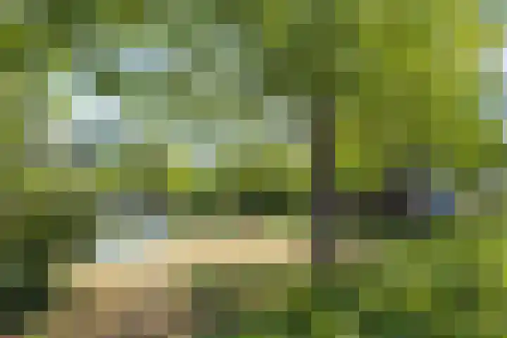 Troostlaan 21 Alkmaar thumbnail 33