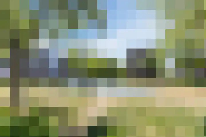 Troostlaan 21 Alkmaar thumbnail 34