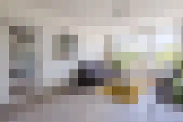 Troostlaan 21 Alkmaar thumbnail 4