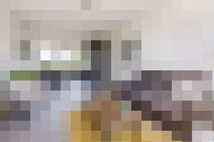 Troostlaan 21 Alkmaar thumbnail 5