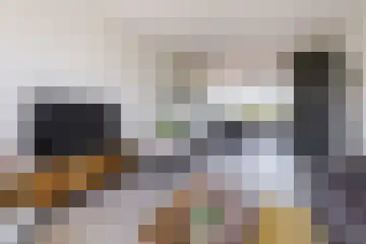 Troostlaan 21 Alkmaar thumbnail 6