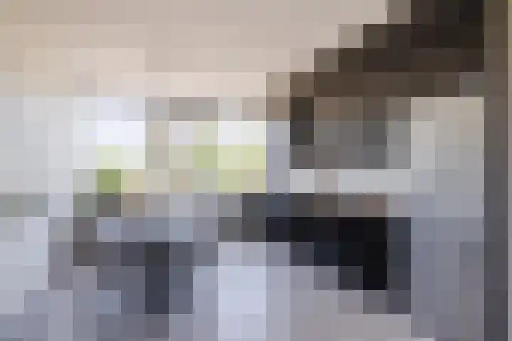 Troostlaan 21 Alkmaar thumbnail 7