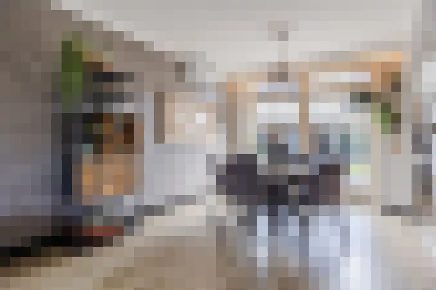 Troostveld 10 Wouw thumbnail 13