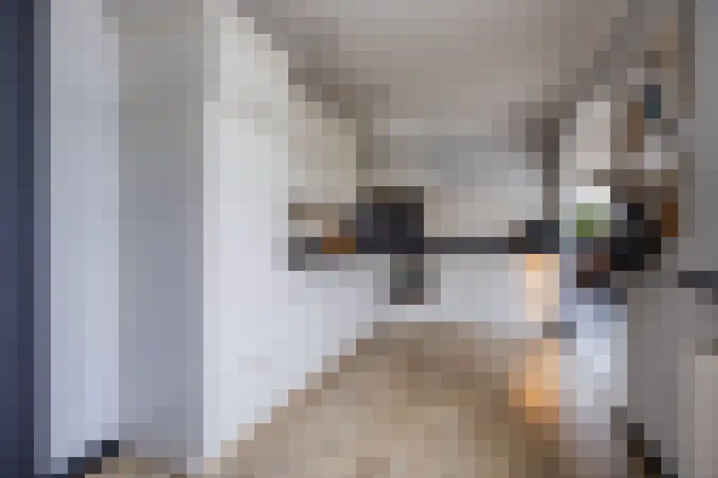 Troostveld 10 Wouw thumbnail 20