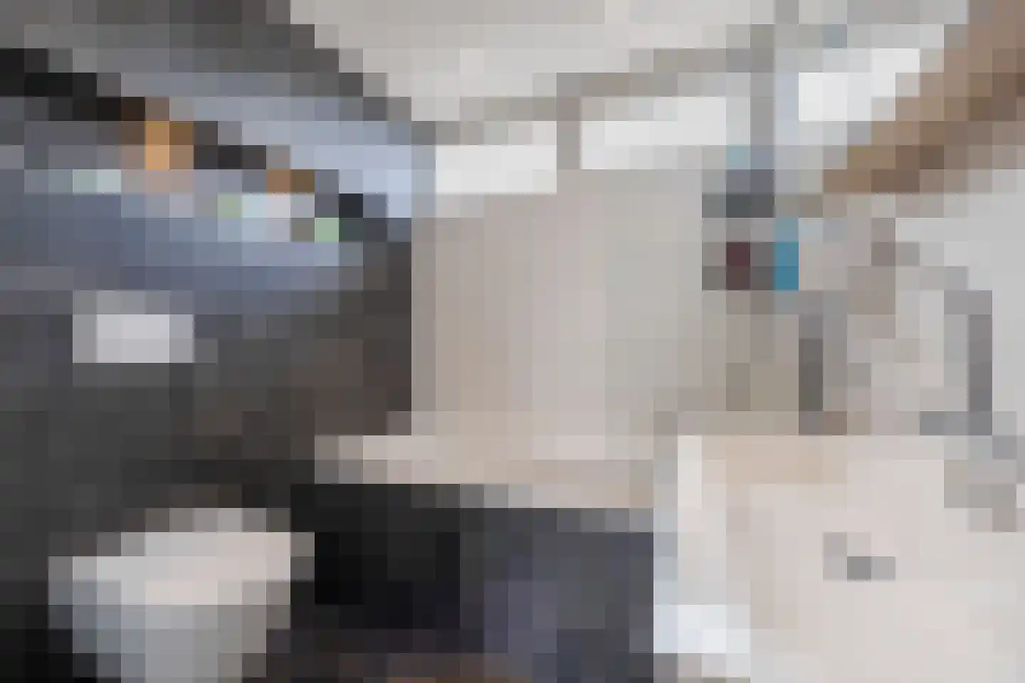 Troostveld 10 Wouw thumbnail 32