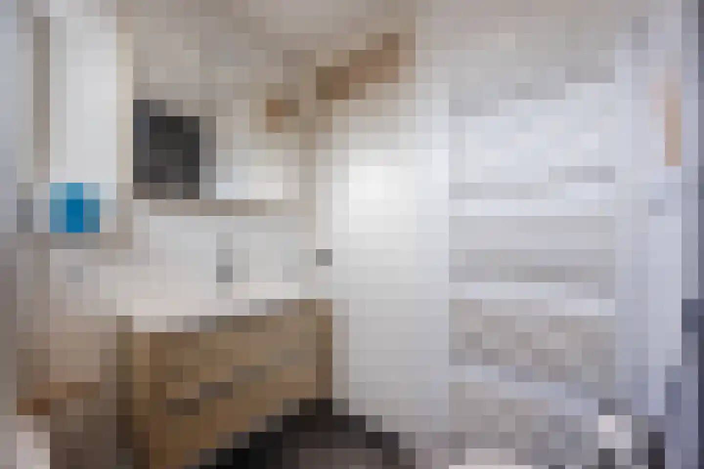 Troostveld 10 Wouw thumbnail 33