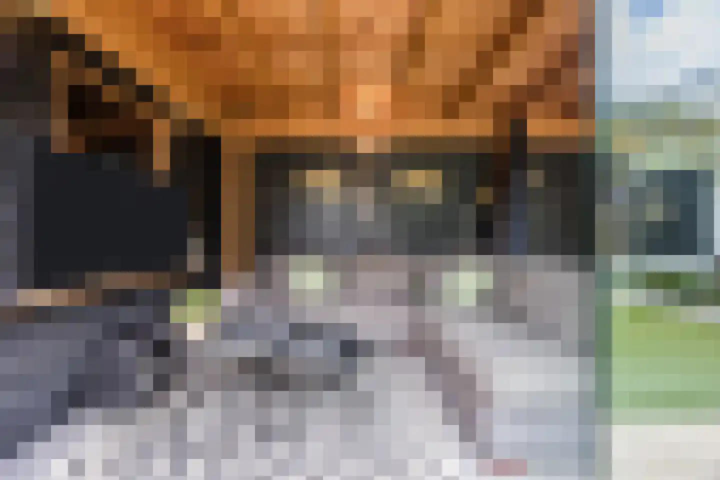 Troostveld 10 Wouw thumbnail 50