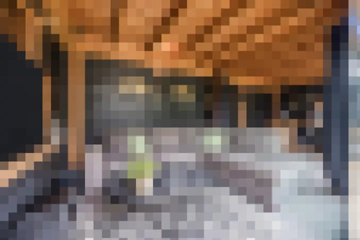 Troostveld 10 Wouw thumbnail 51