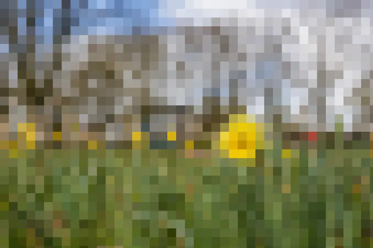 Troostveld 10 Wouw thumbnail 62