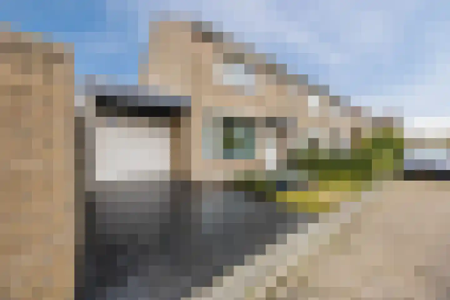 Troostveld 10 Wouw thumbnail 7