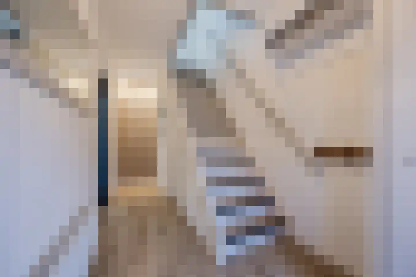 Troostveld 10 Wouw thumbnail 9