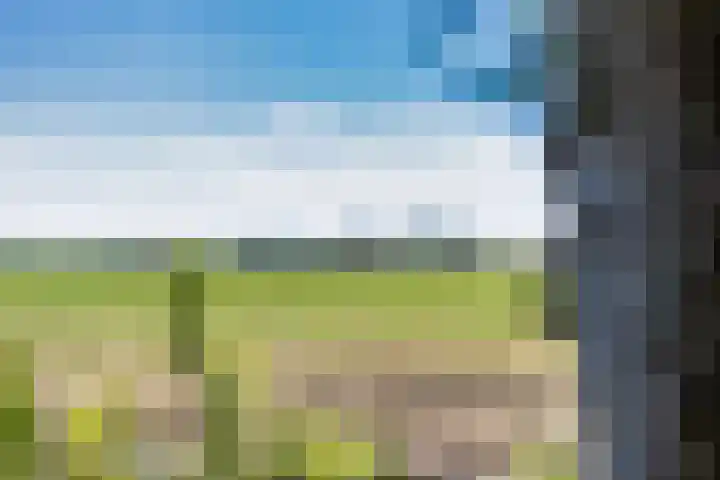 Trophornsterweg 4 Harich thumbnail 10