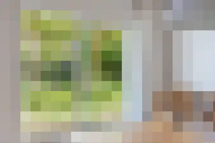 Trophornsterweg 4 Harich thumbnail 25