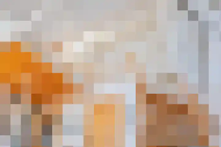 Trophornsterweg 4 Harich thumbnail 38