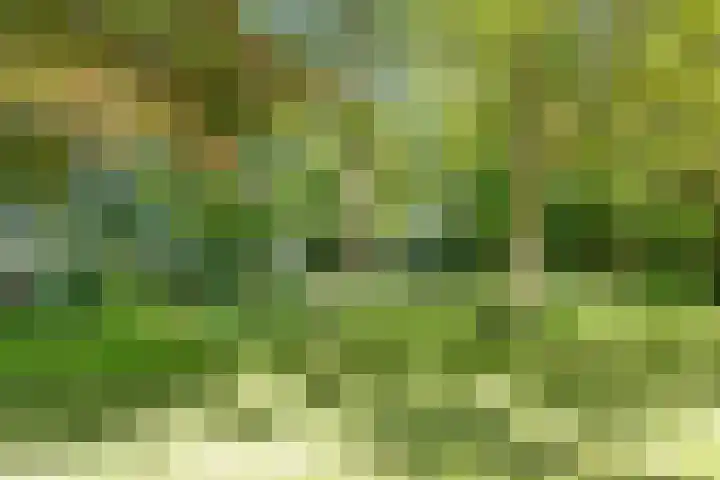 Trophornsterweg 4 Harich thumbnail 44