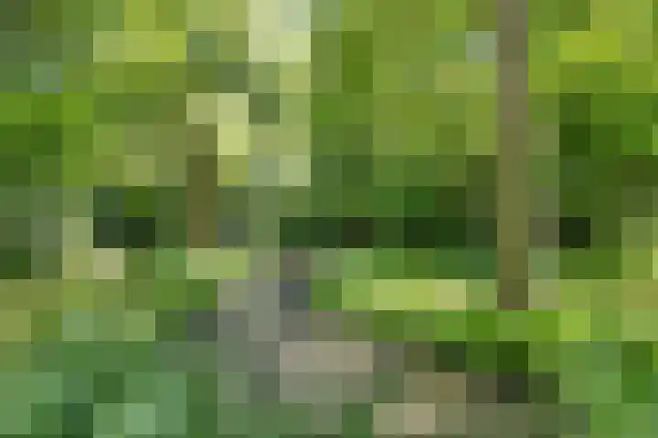 Trophornsterweg 4 Harich thumbnail 45
